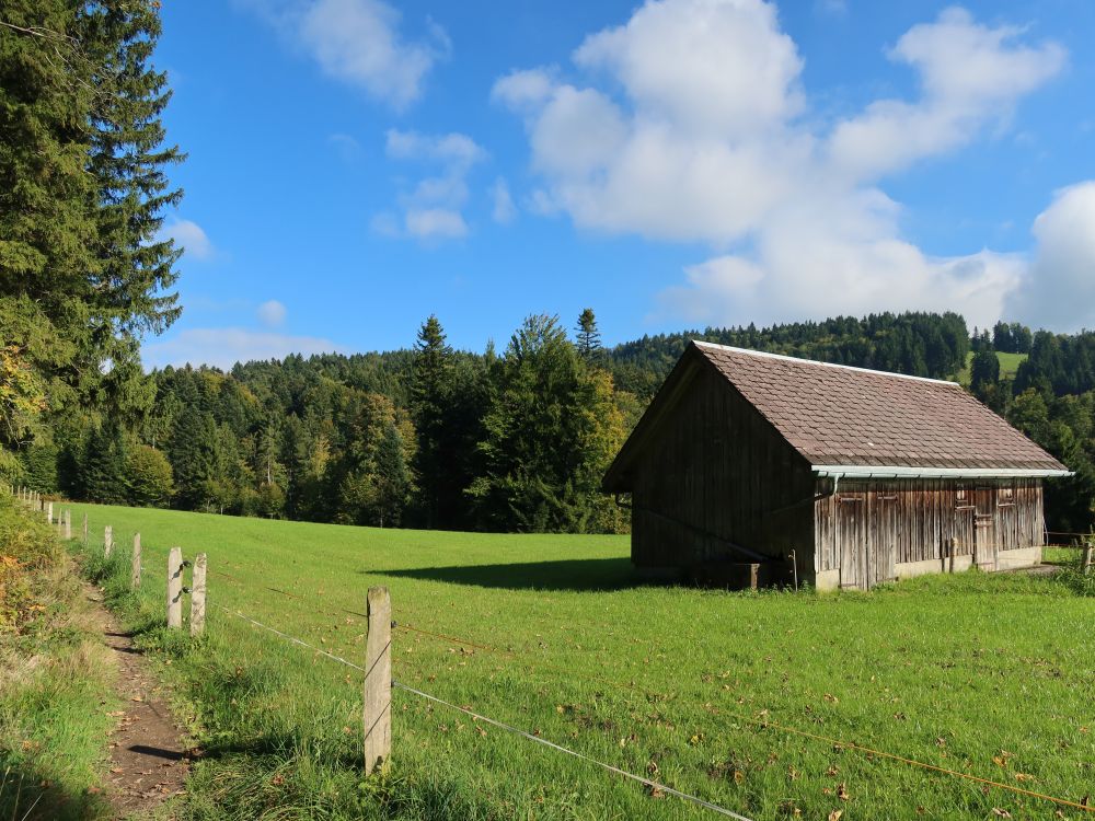 Pfad am Waldrand bei Chamm