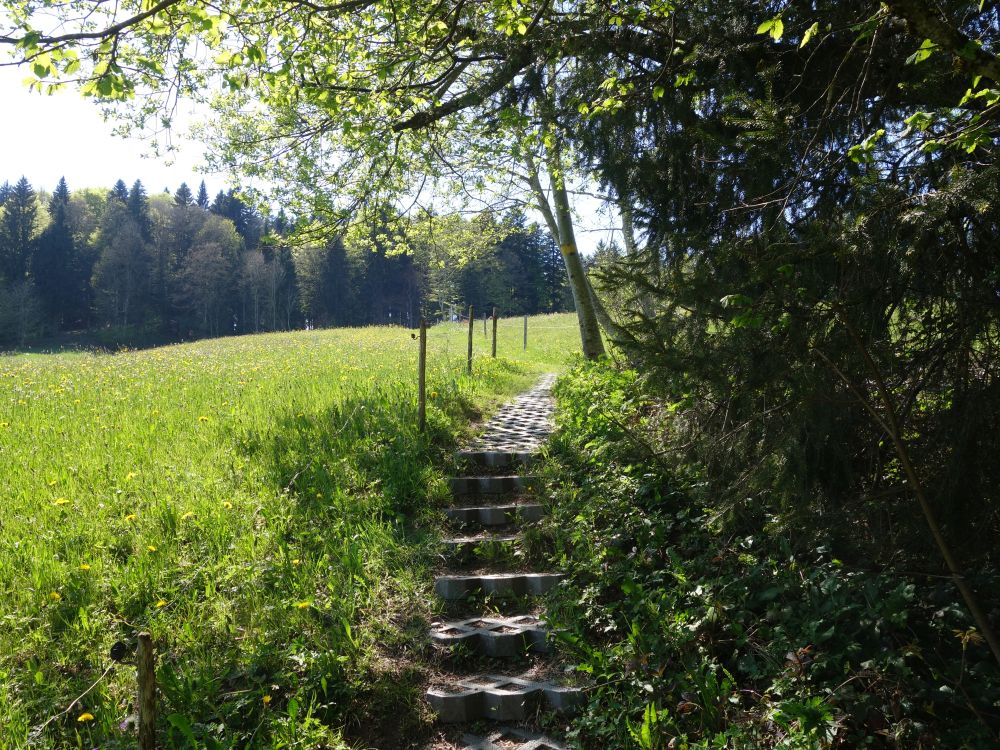 Treppe bei Bad