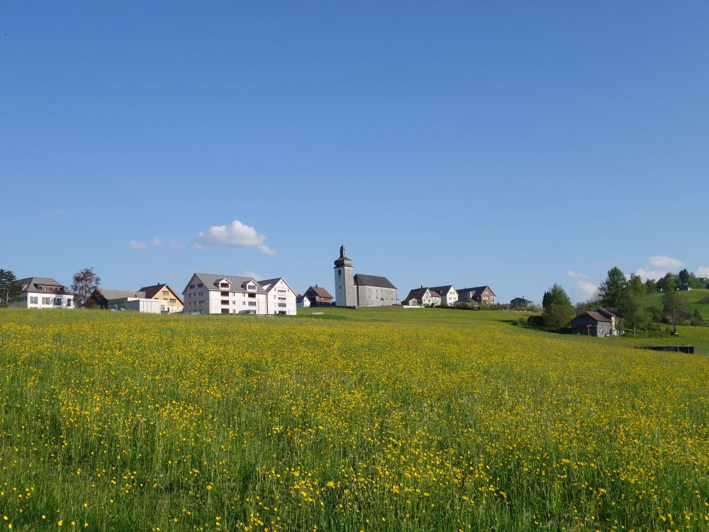 gelbe Wiesen und Kath. Kirche
