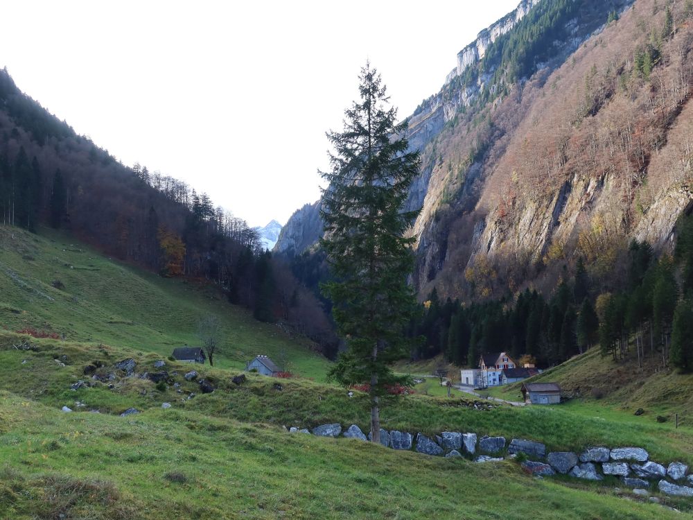 Kraftwerk und Säntis
