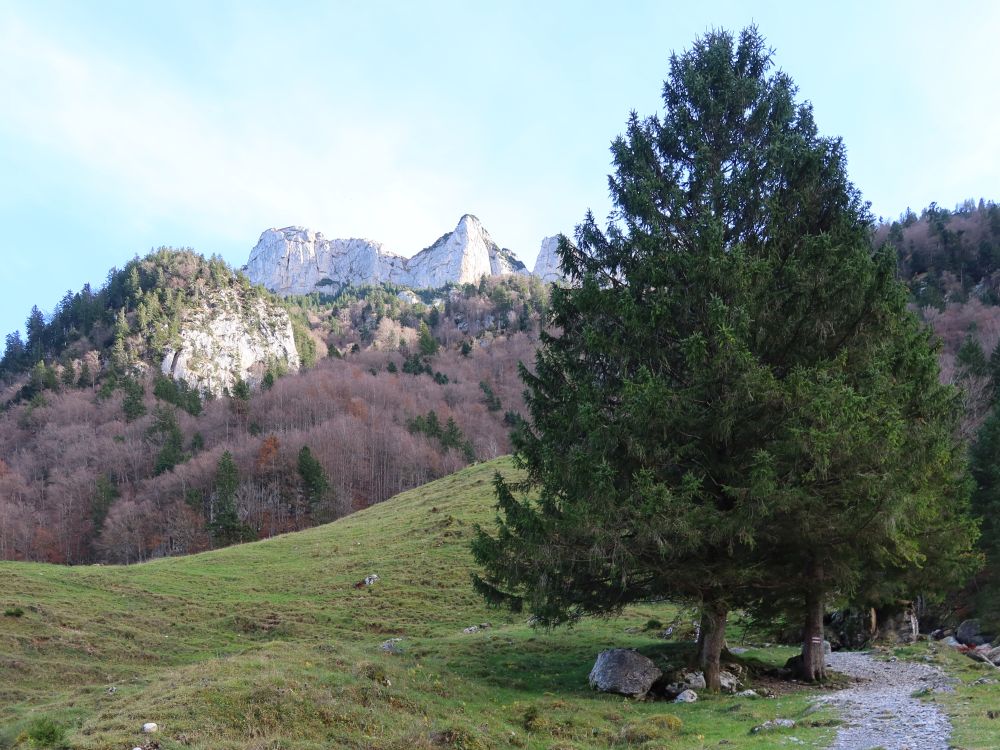Blick Richtung Alp Sigel