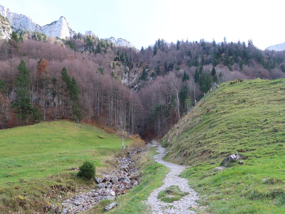 Wanderweg am Katzensteig
