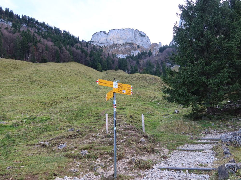 Wanderwegweiser und Bogartenfirst