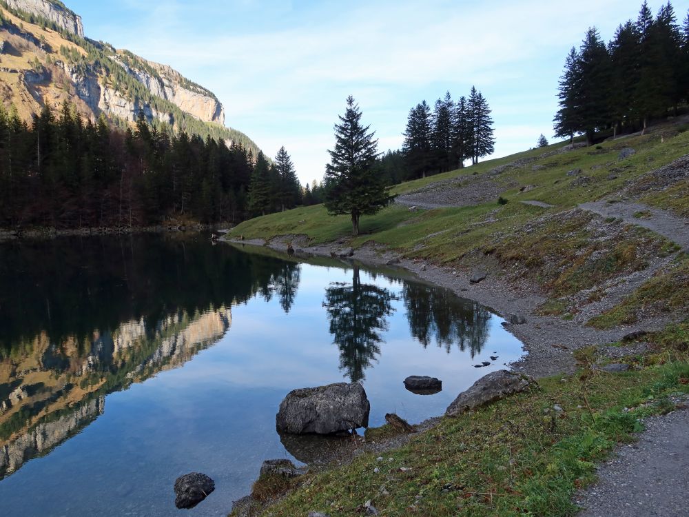 Spiegelung im Seealpsee