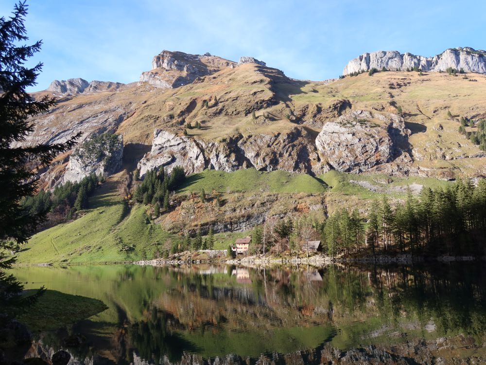 Blick Richtung Schäfler