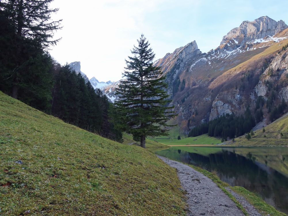 Uferweg und Altenalp Türm (re)