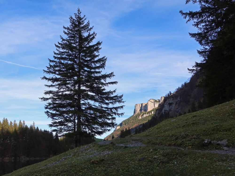 Blick Richtung Alp Sigel
