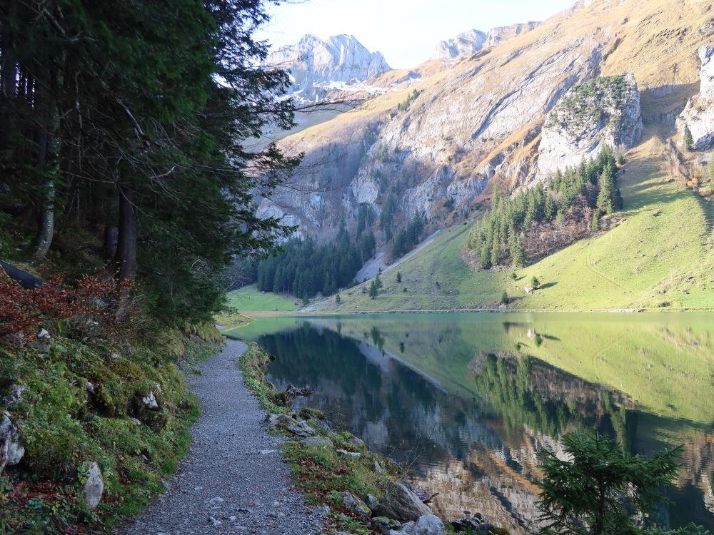 Uferweg am Seealpsee