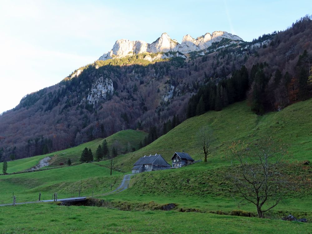 Alp Sigel in der Sonne