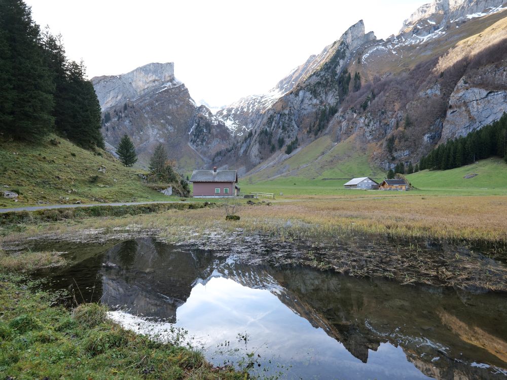 Hütten auf der Seealp
