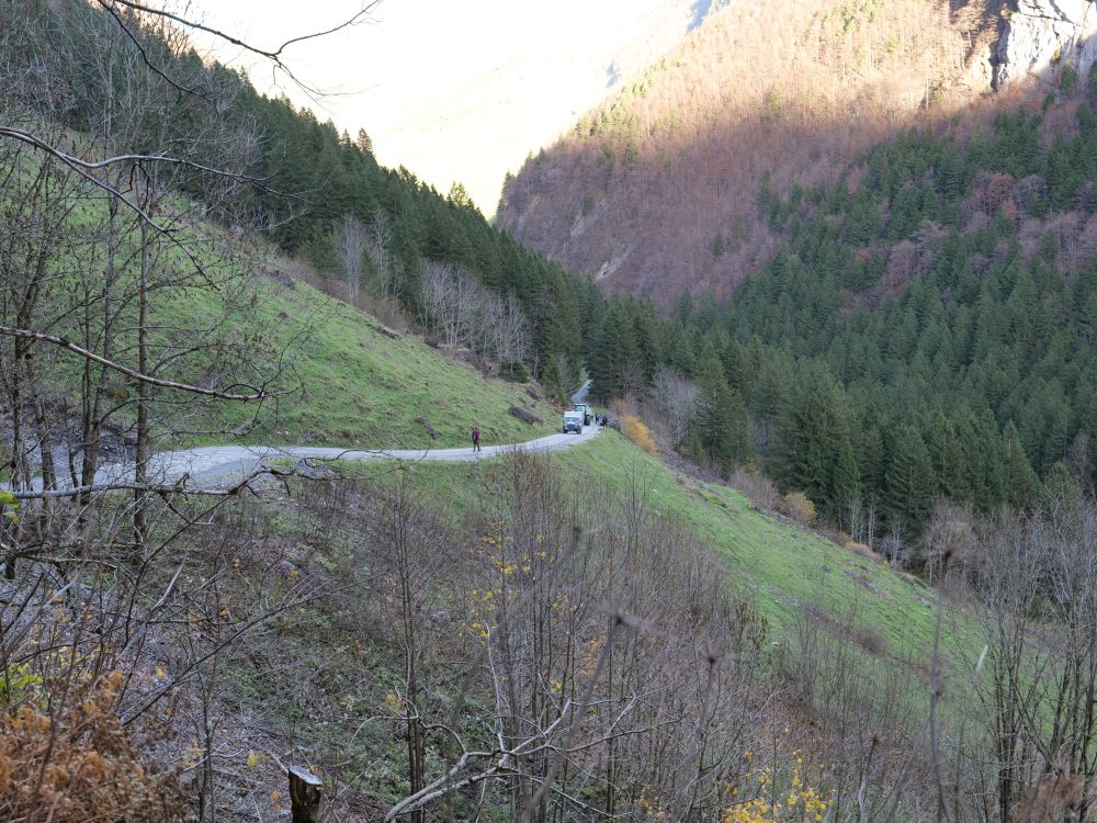 Bergsträsschen überm Schwendetal