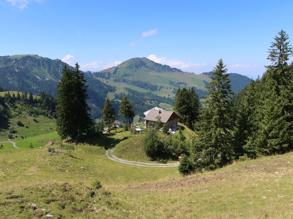 Sunnigrain und Blick zum Buochserhorn