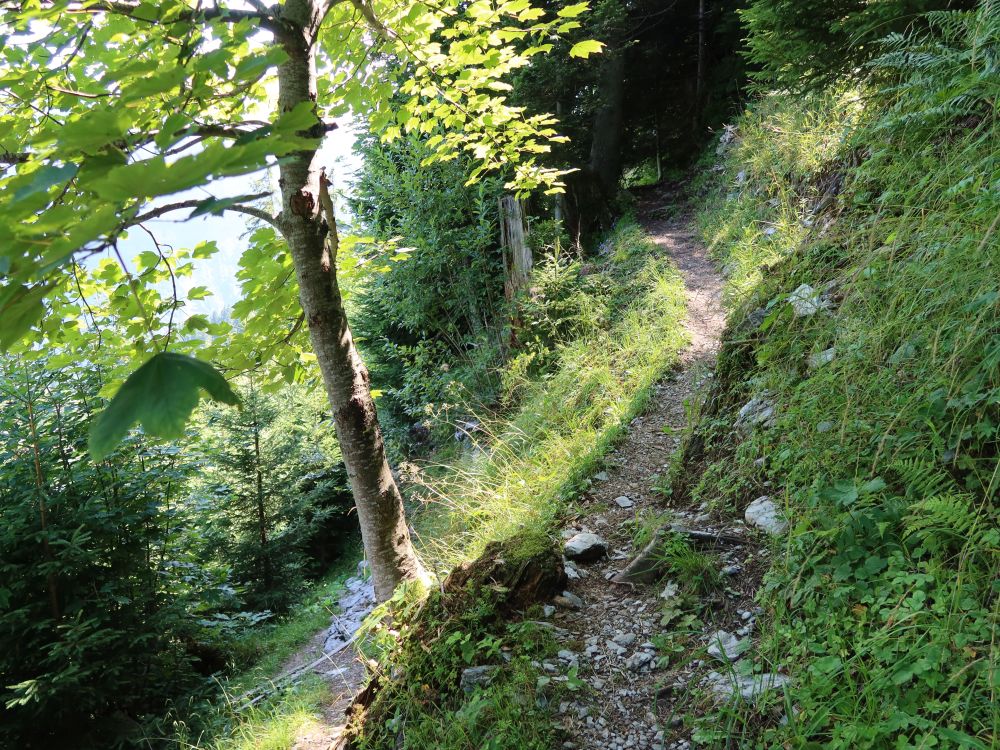 Bergpfad