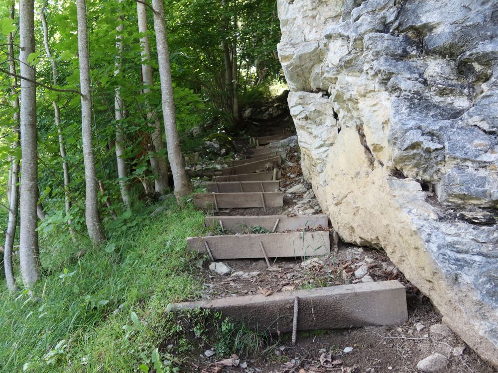 Treppe am Fels