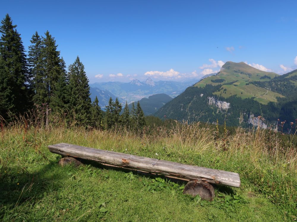 Sitzbank mit Niderbauen