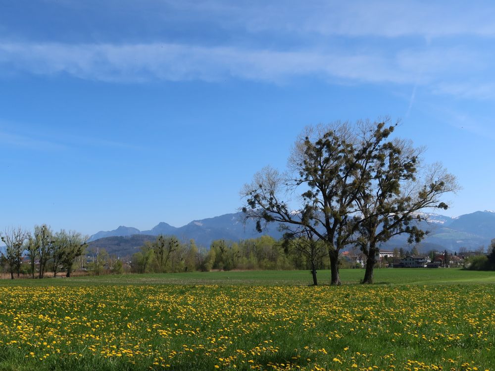Staufen, Schwarzenberg und Schöner Mann (li.)