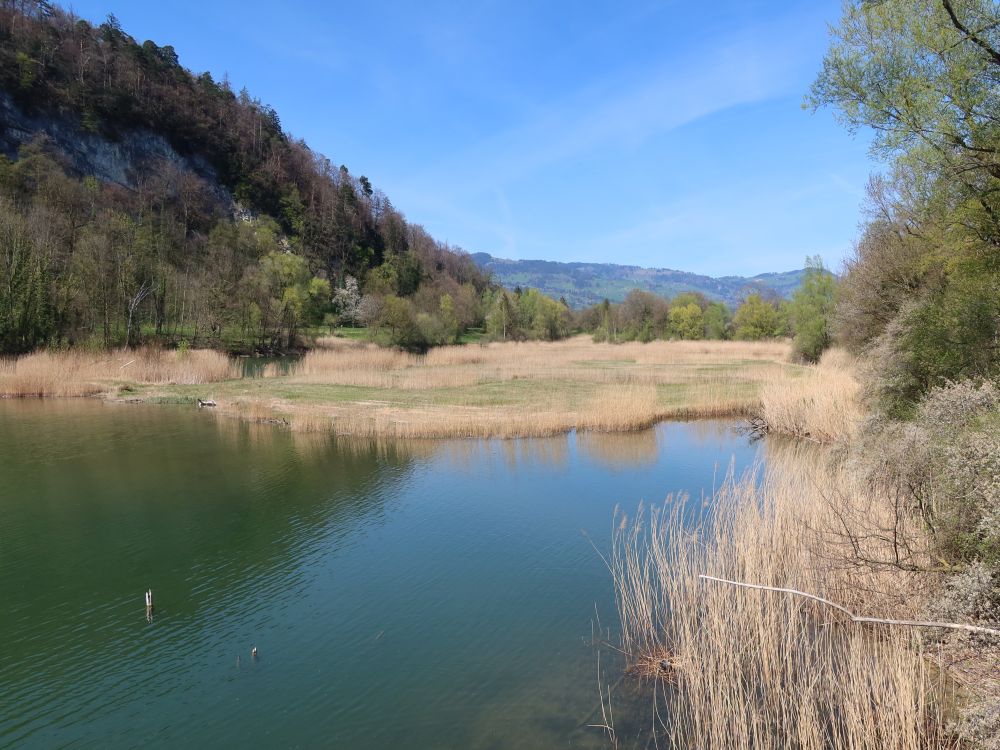 Wichensteiner See