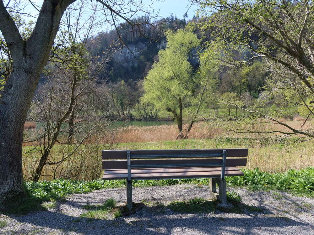 Sitzbank am Wichensteiner See