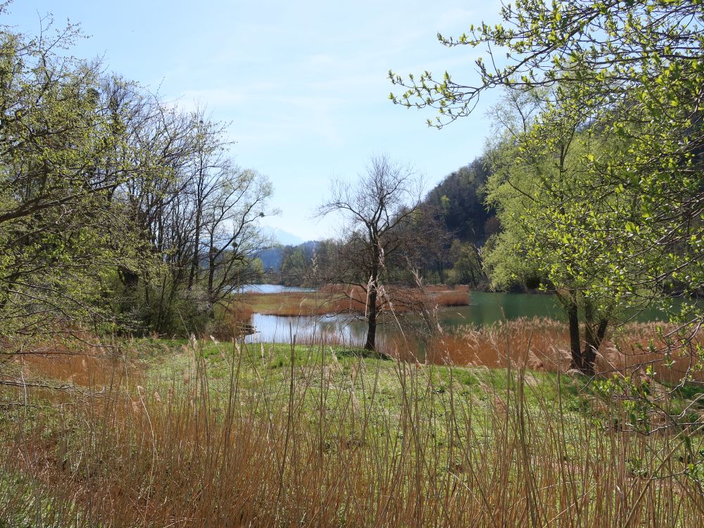 Wichensteiner See