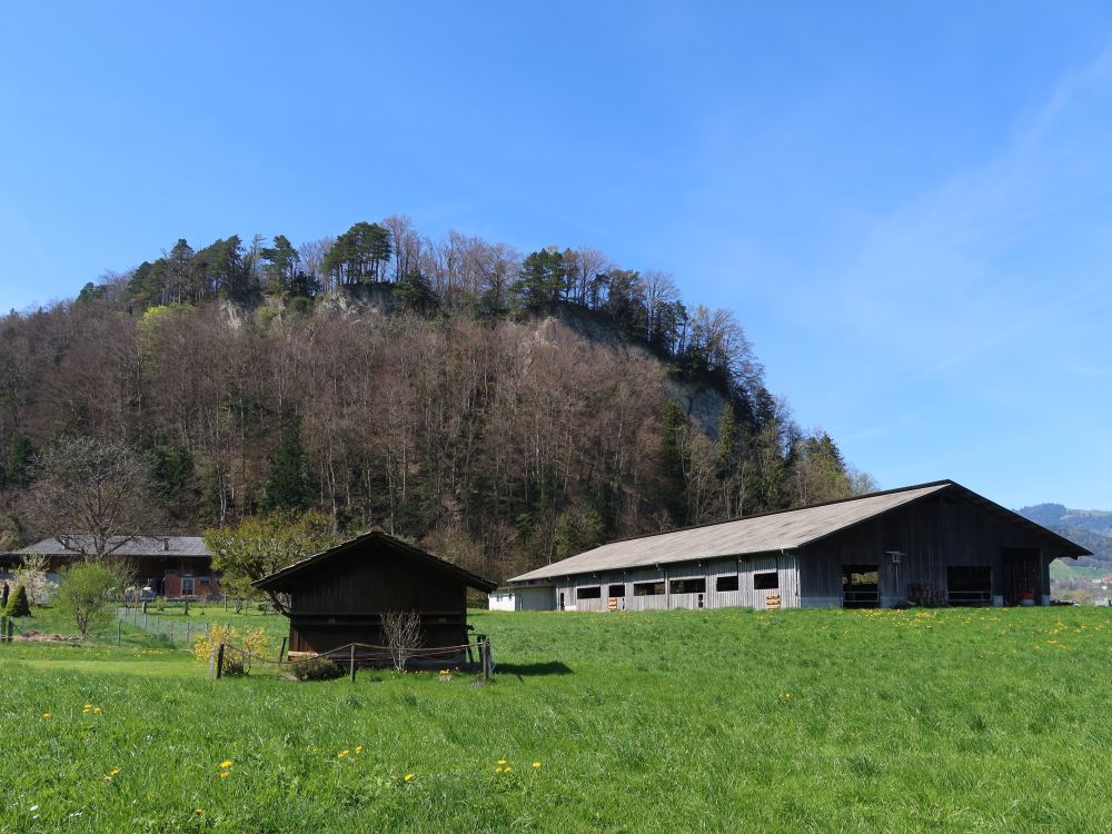 Stall unterm Schörgisknorren