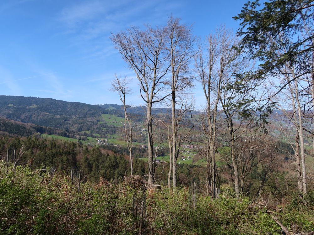 Blick Richtung Norden