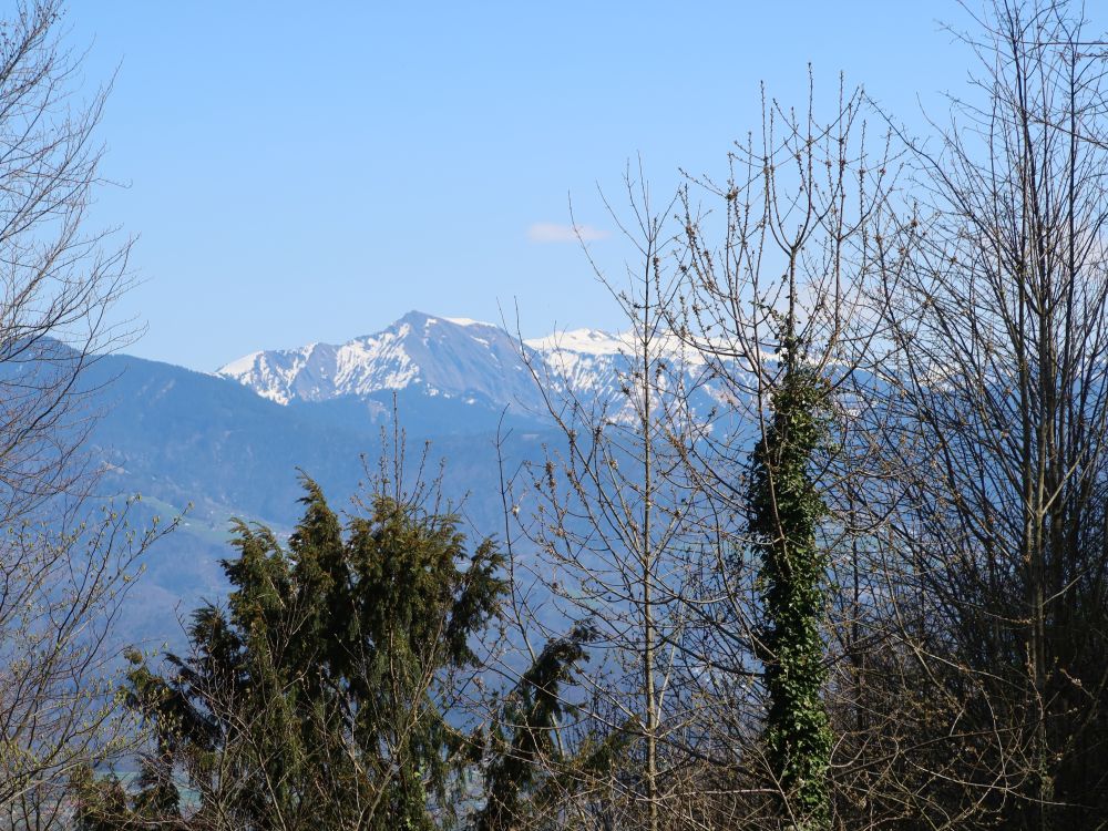 Hoher Freschen