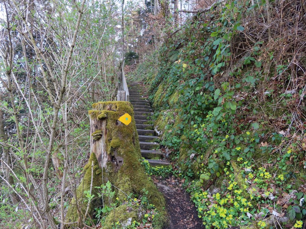 Treppe