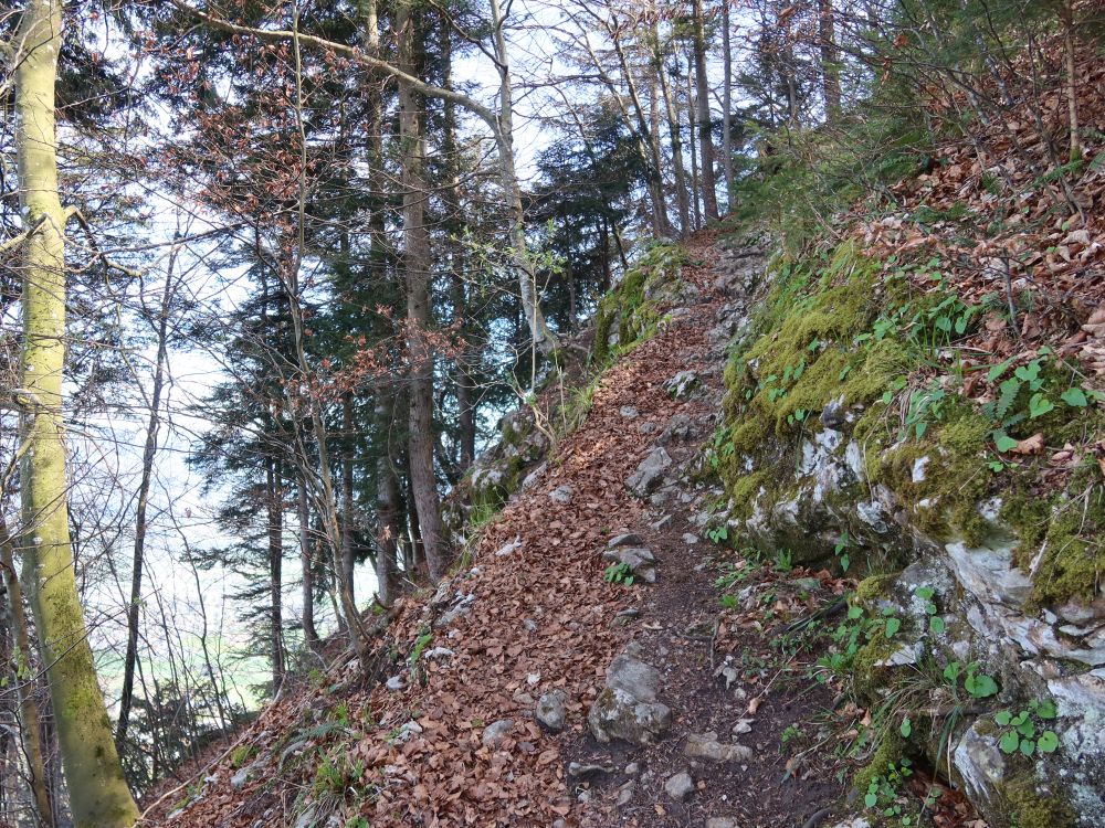 Bergpgfad am Steilhang