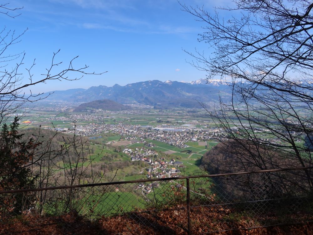 Blick auf Oberriet und Alpen