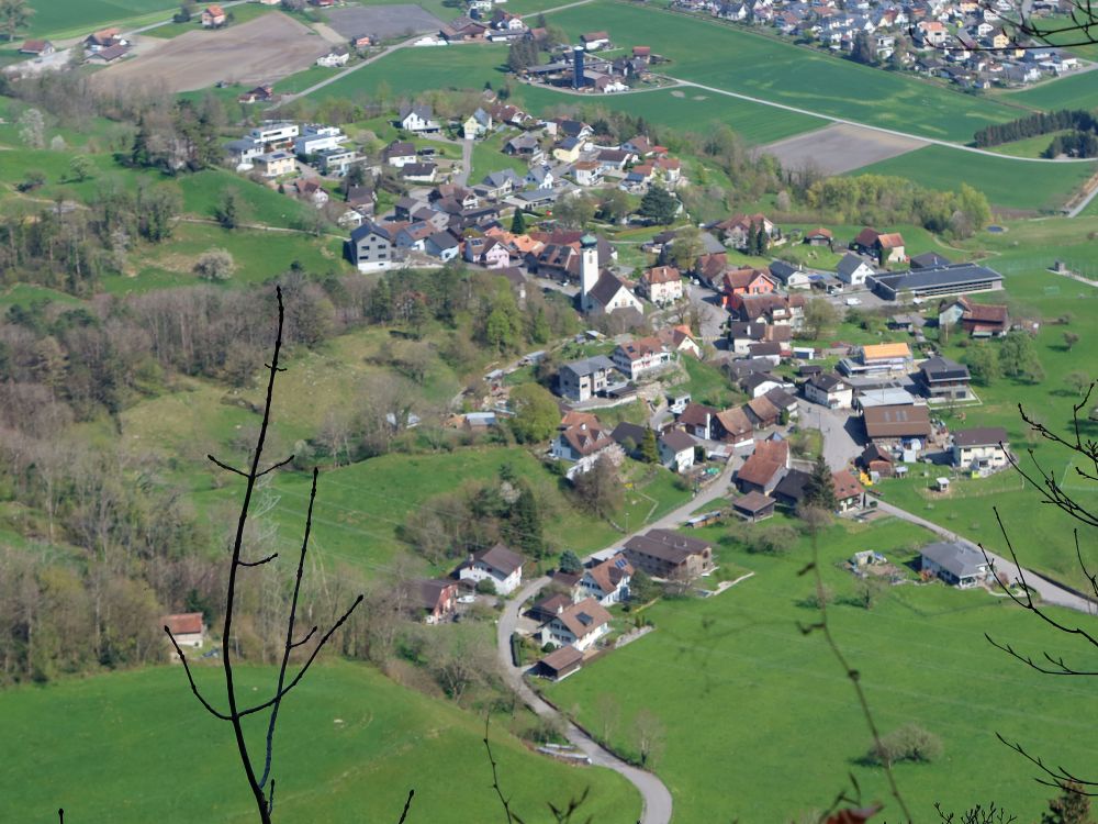Blick auf Kobelwald