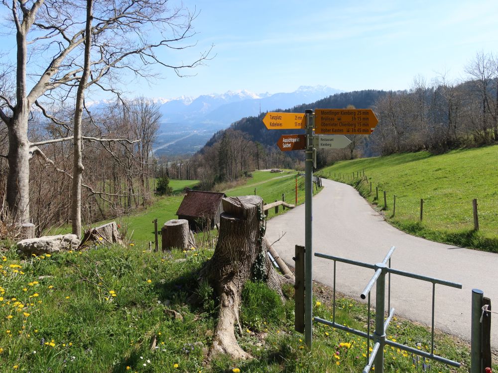 Wanderwegweiser bei Salchet