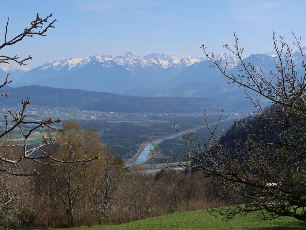 Alpen und Rhein