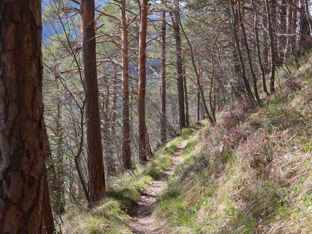 Pfad über Mittelstein