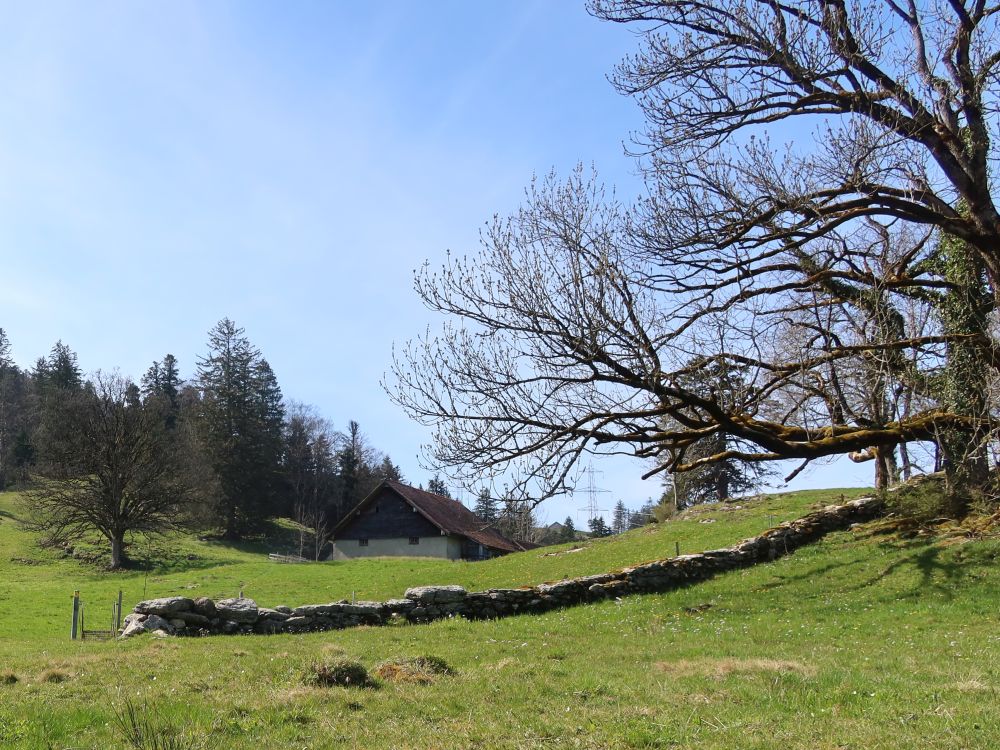 Steinmauer unter Alp Strüssler
