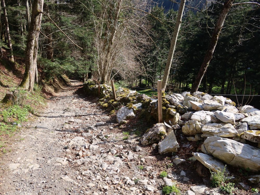 Weg unterhalb Alp Strüssler