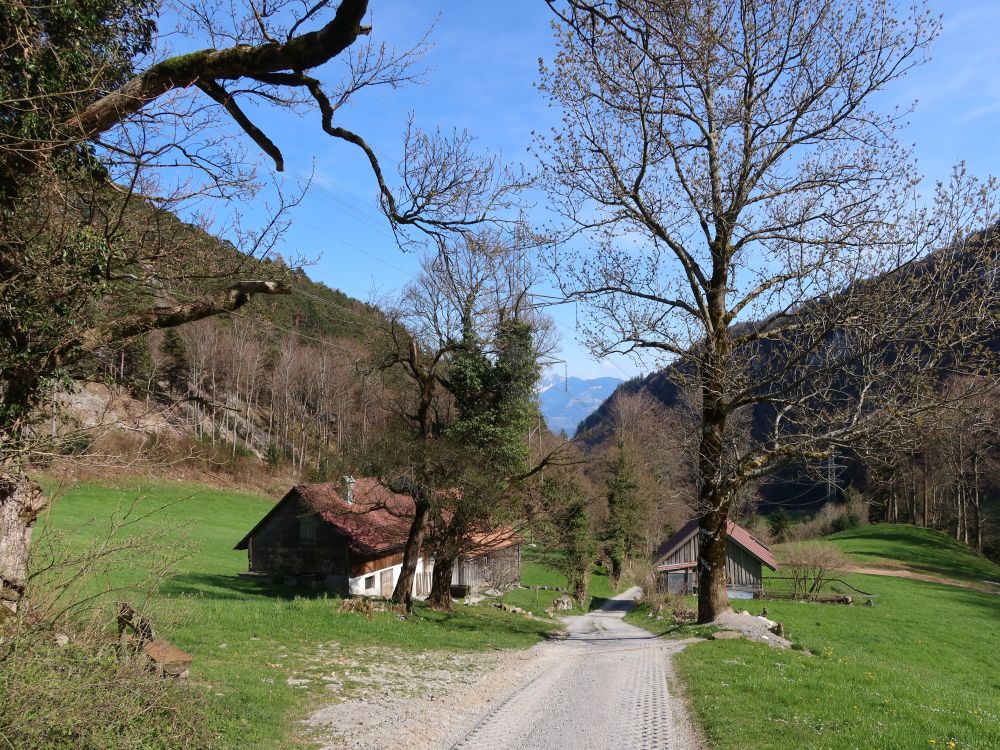Bauernhof im Loch