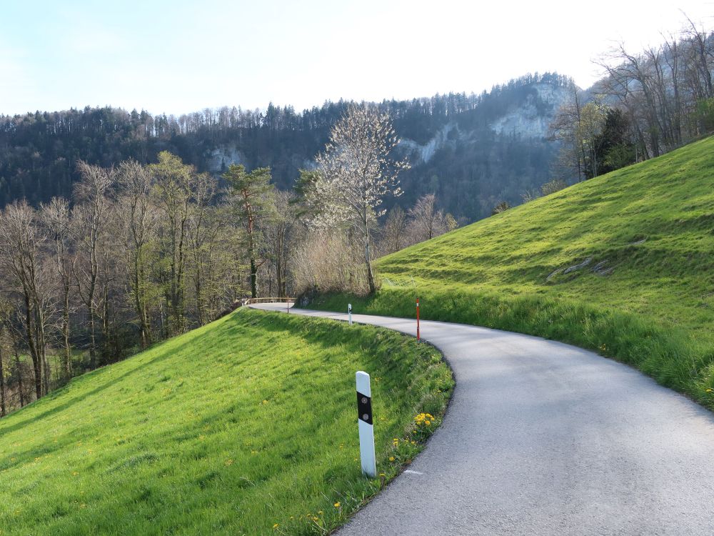Strässchen nach Stein