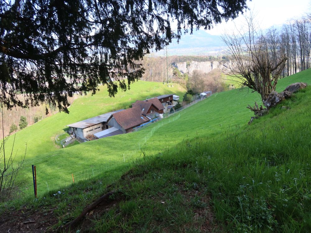 Bauernhof Gocht