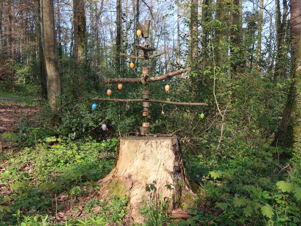 Eierbaum