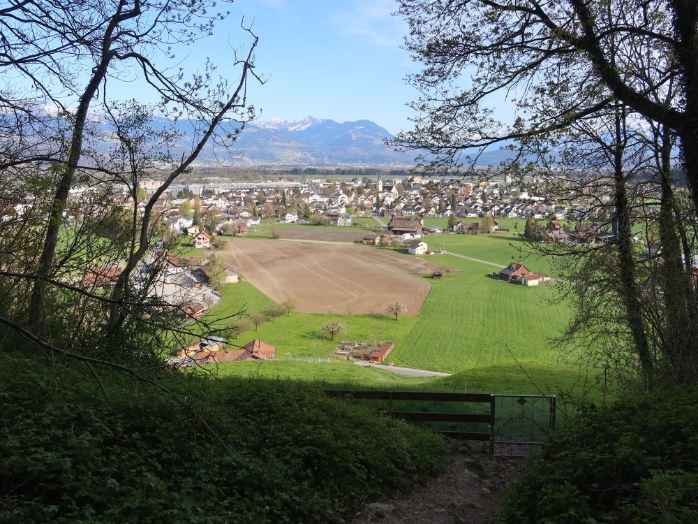 Blick auf Oberriet