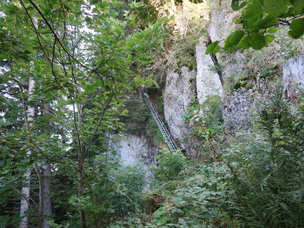 Leiter an der Leiterfluh