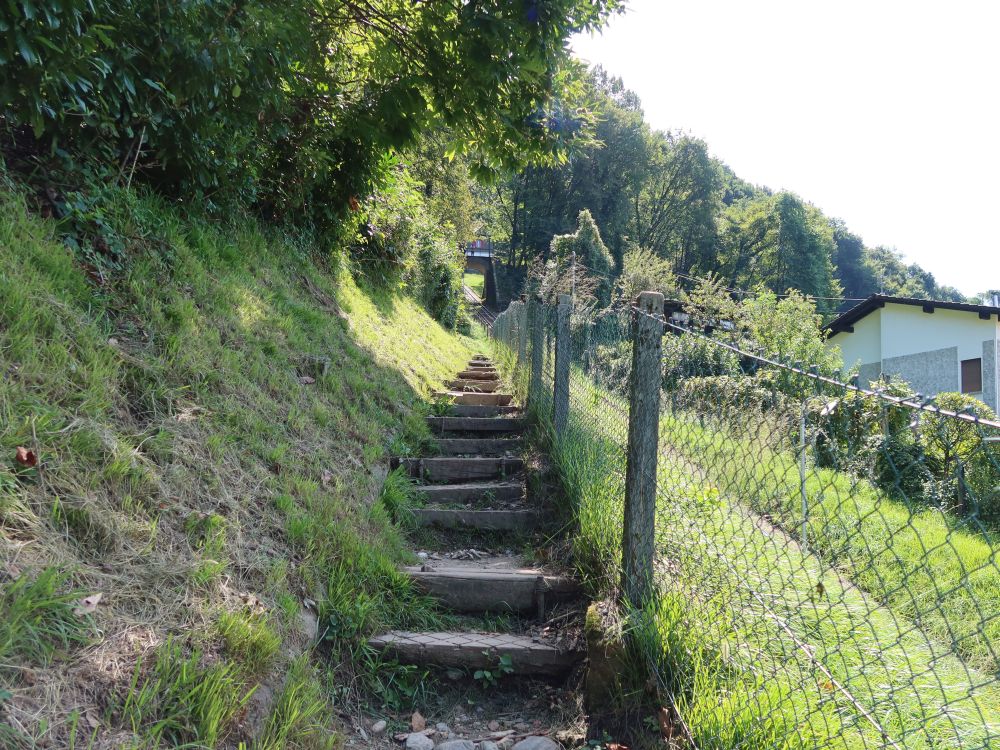 Treppe
