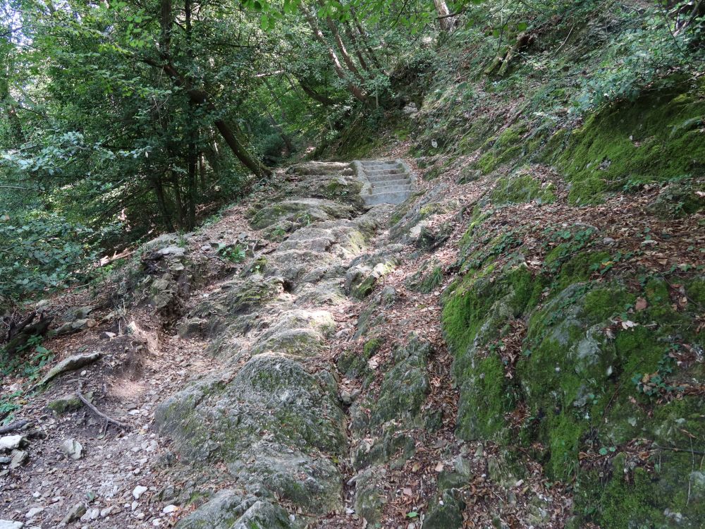 Bergpfad am Monte San Salvatore