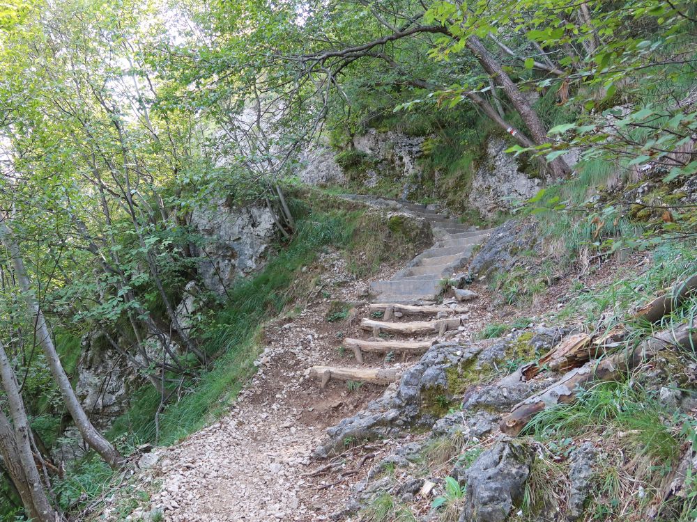 Treppe am Monte San Salvatore