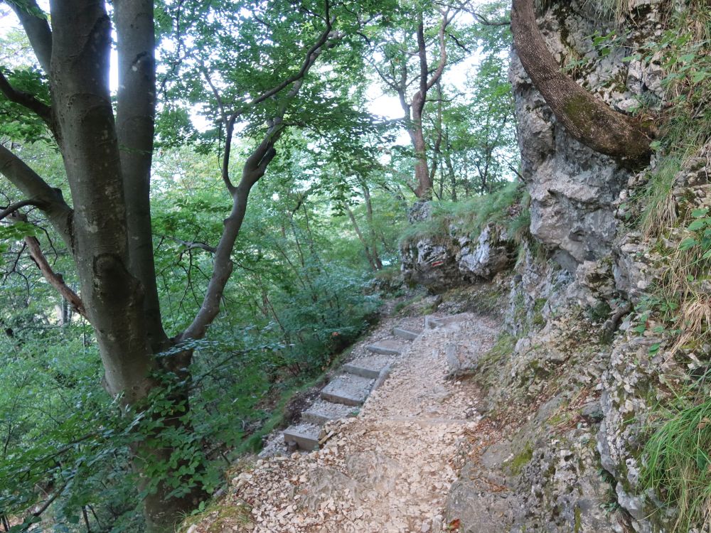 Bergweg am Fels