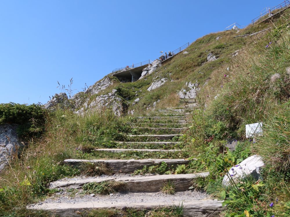 Treppe zum Gipfel des Stockhorn