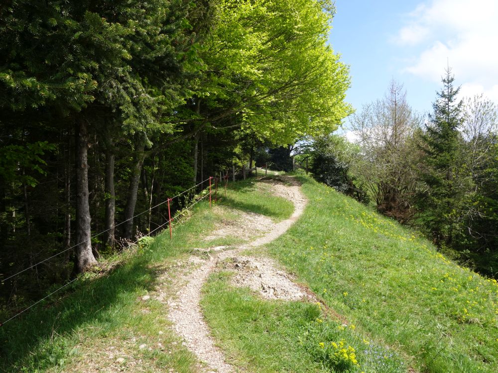 Gratweg zum Hochhamm