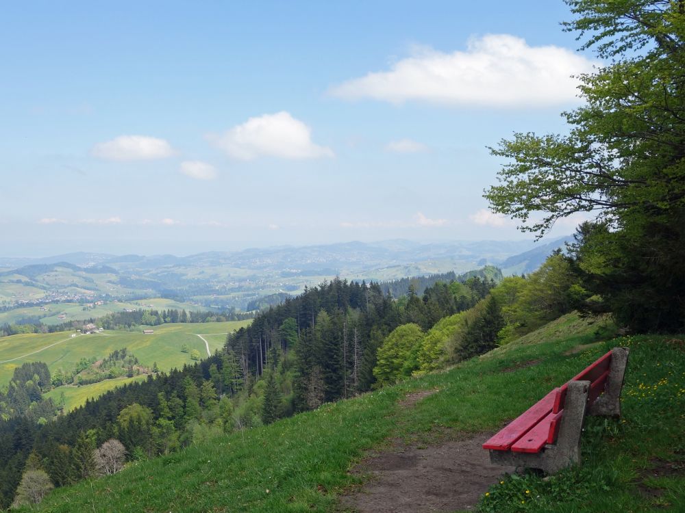Sitzbank am Hochhamm