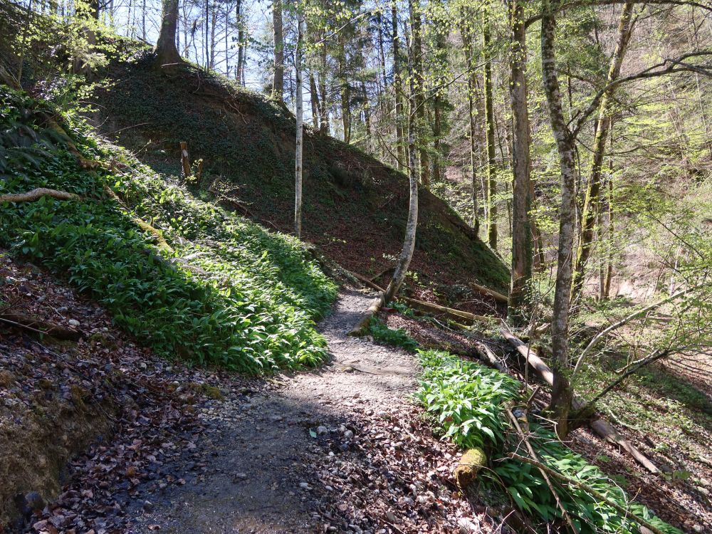 Pfad zum Feldbach