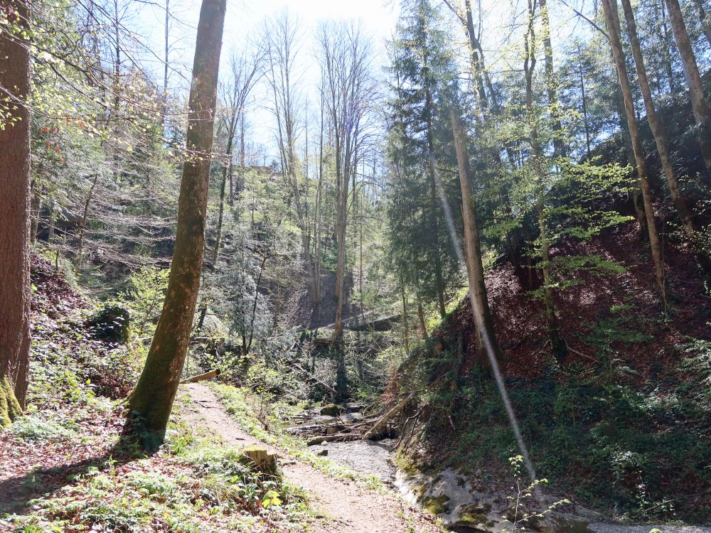 Feldbachweg